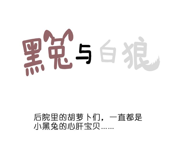 家有美男“福气”多37