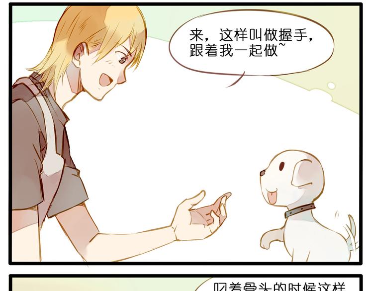 家有美男“福气”多7
