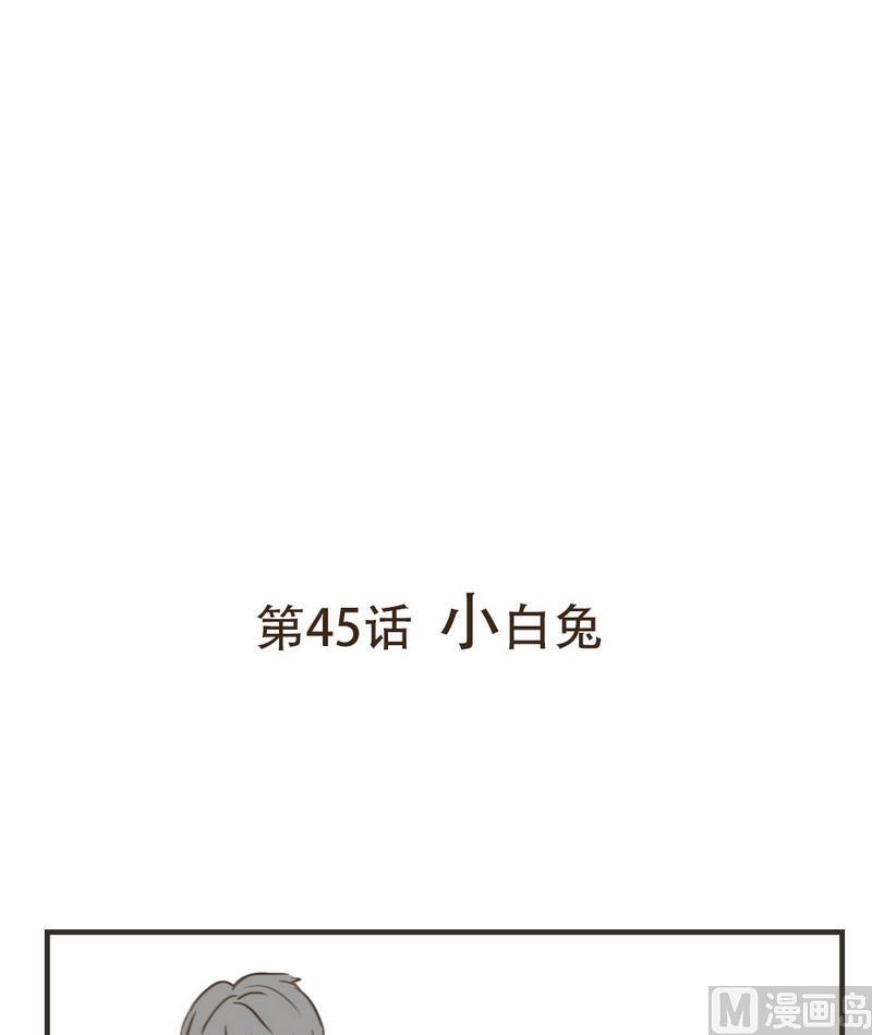 第45话 小白兔0