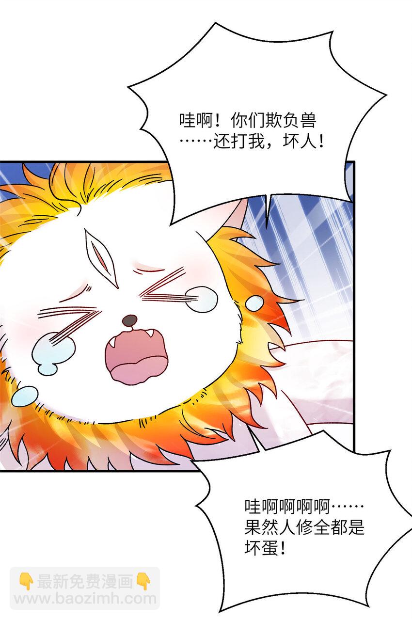 27 收个跟宠13