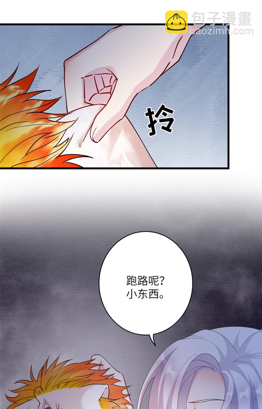 27 收个跟宠7