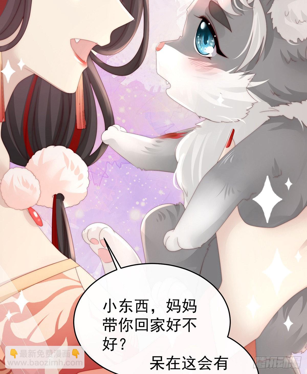 白嫖一只狼崽19