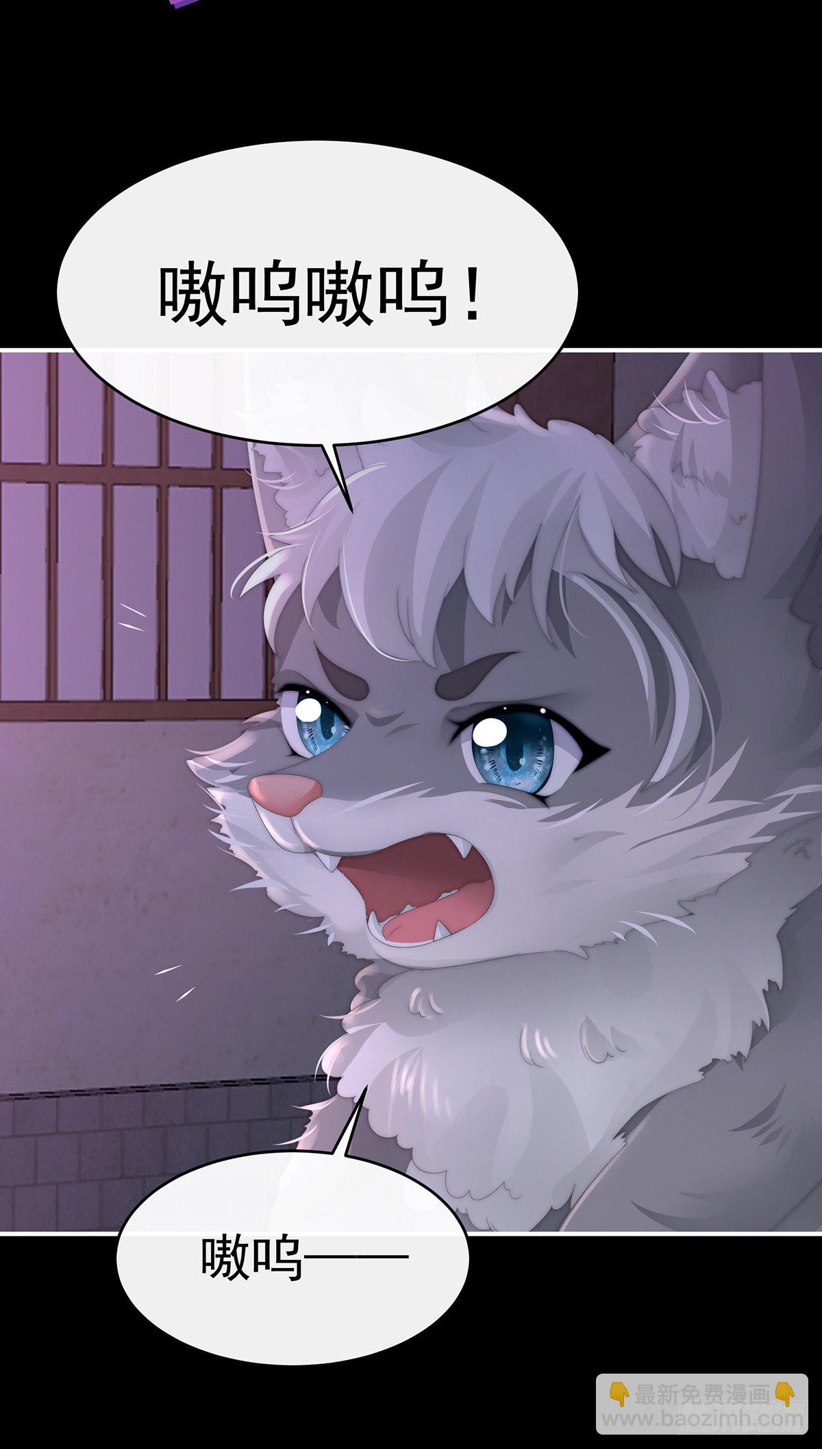 白嫖一只狼崽3