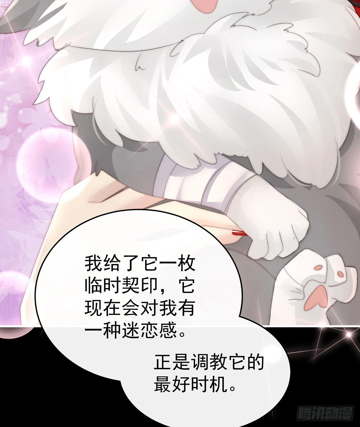 白嫖一只狼崽37