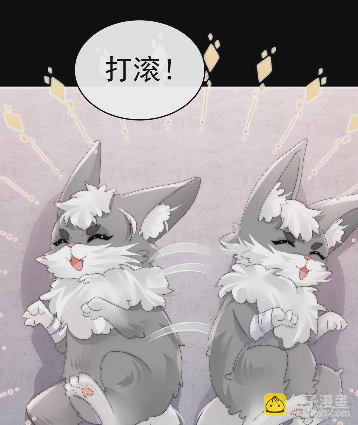 白嫖一只狼崽41