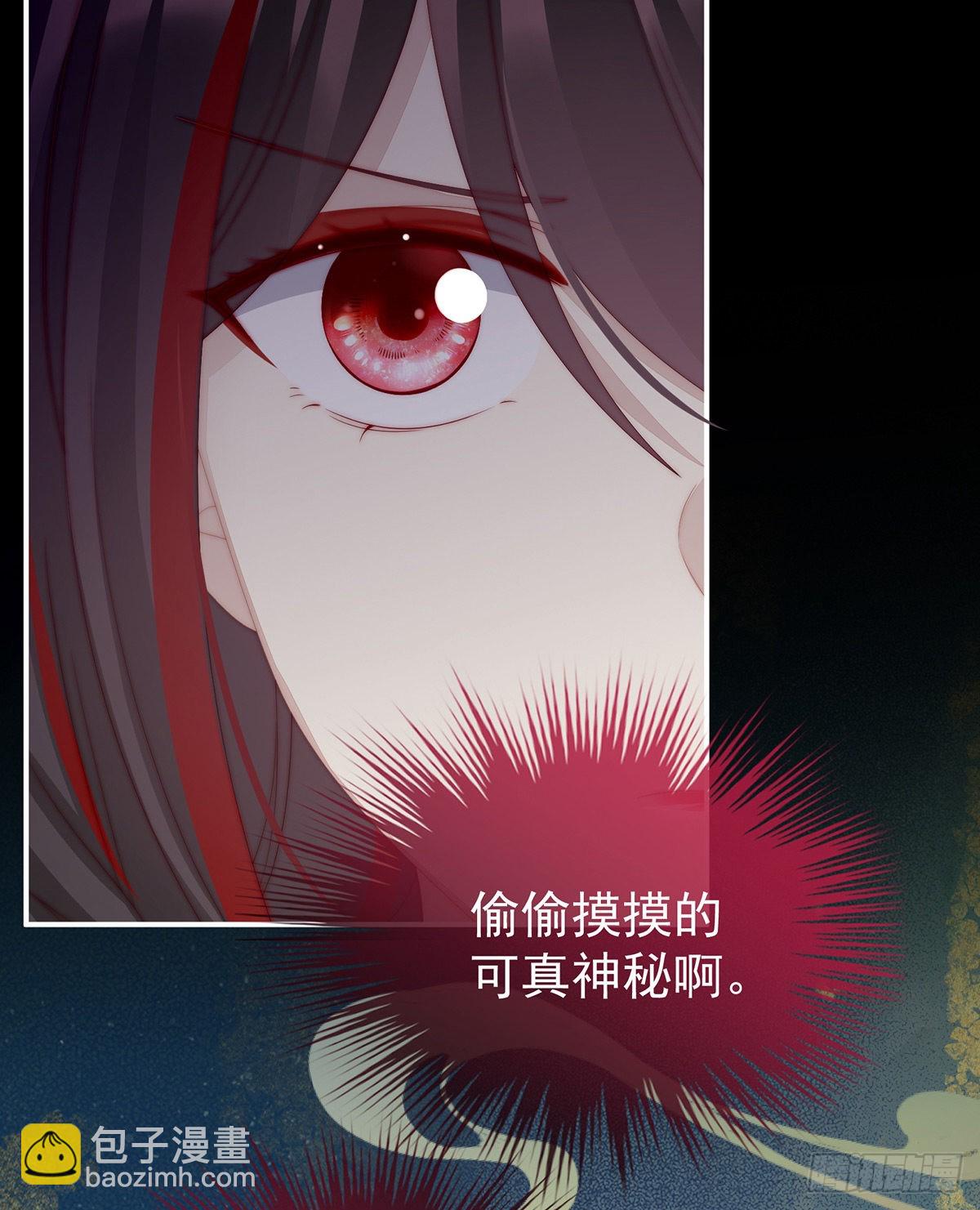 可怜的小毛团14