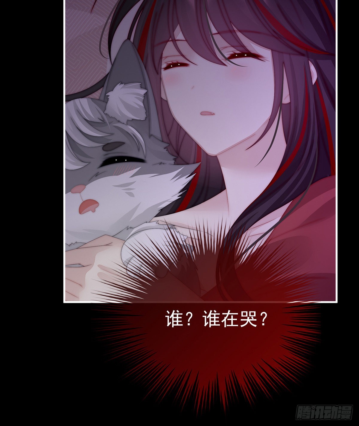 可怜的小毛团42