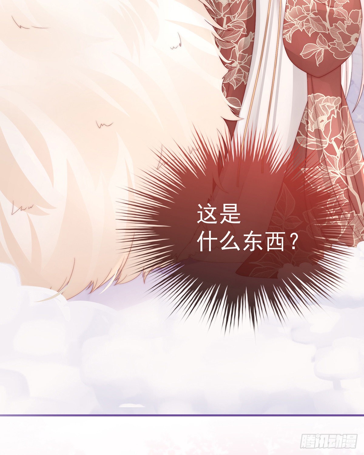 可怜的小毛团45