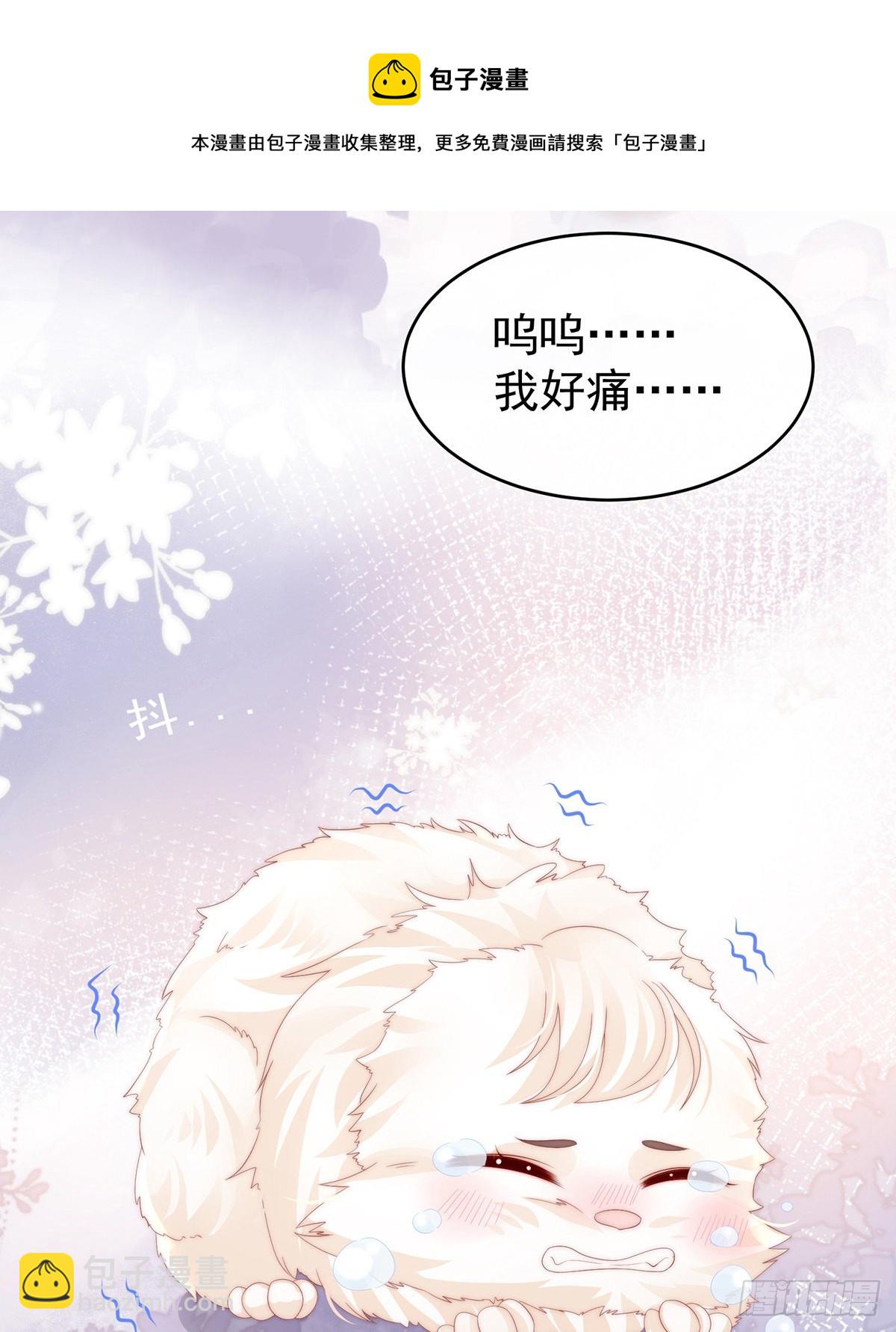 可怜的小毛团49
