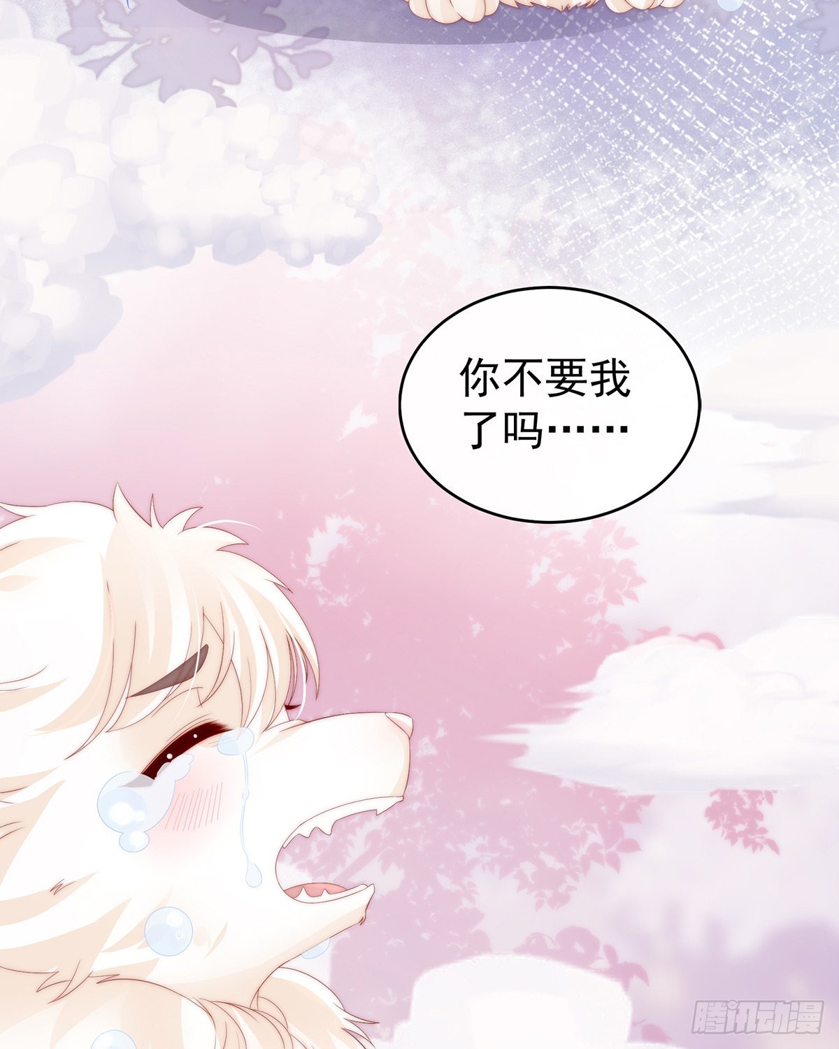 可怜的小毛团54