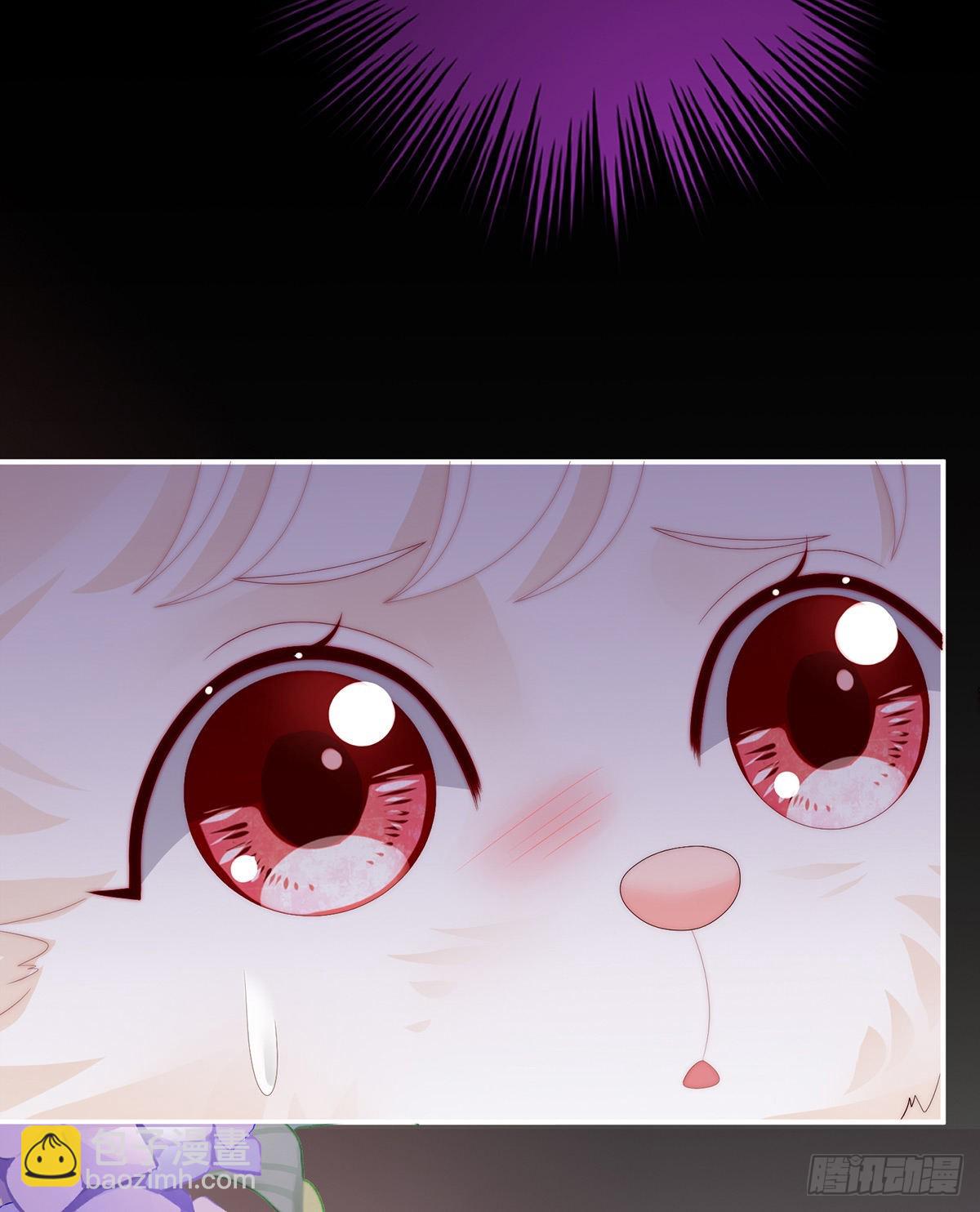 你有别的狗了26