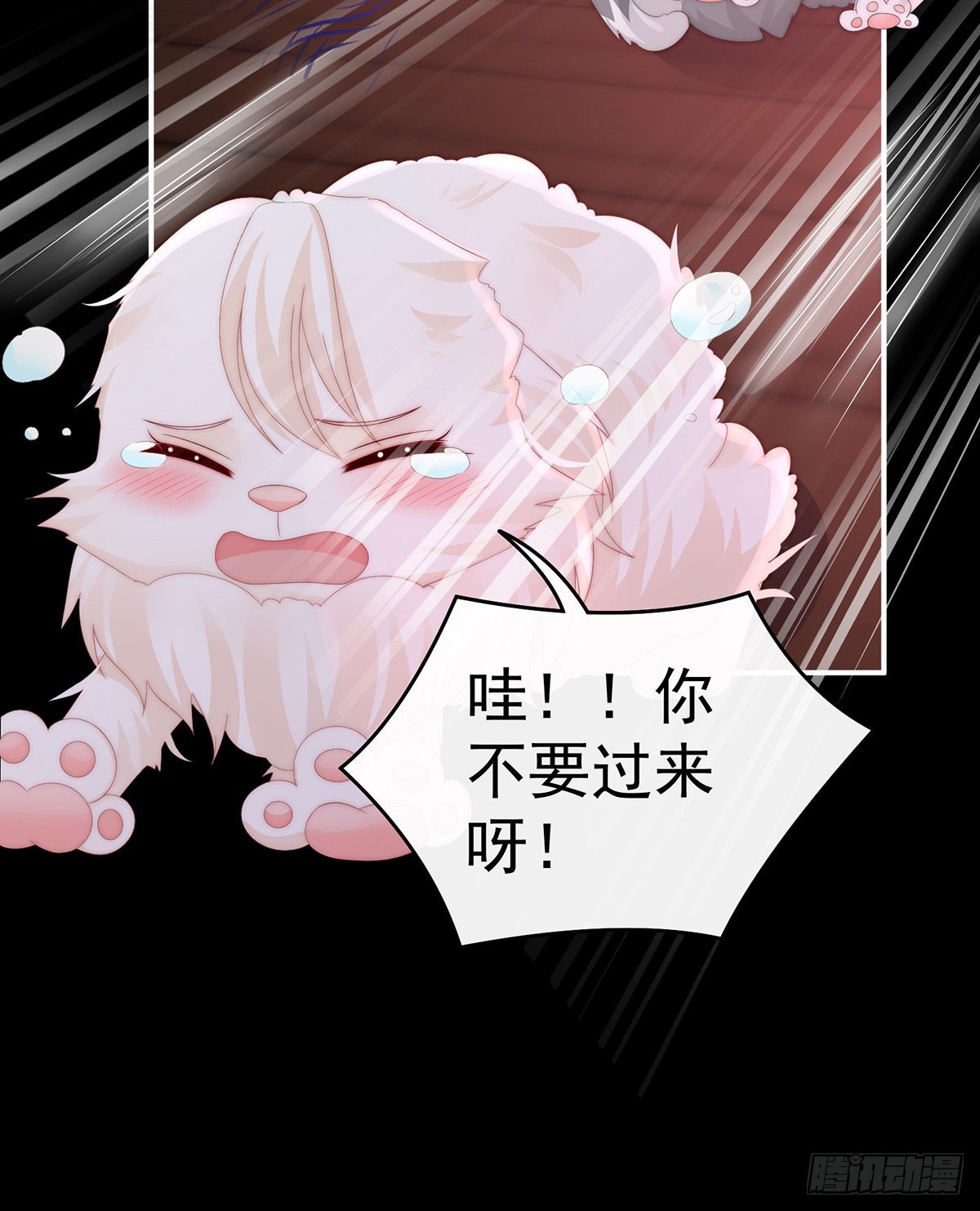 你有别的狗了42