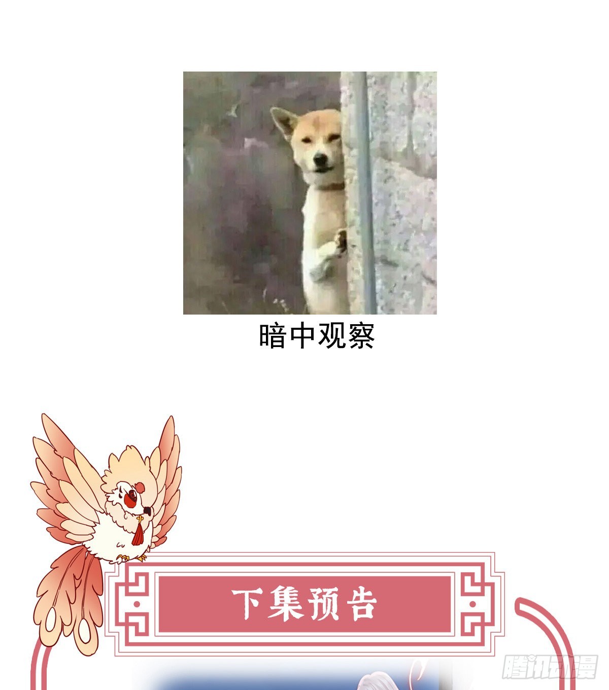醉酒68