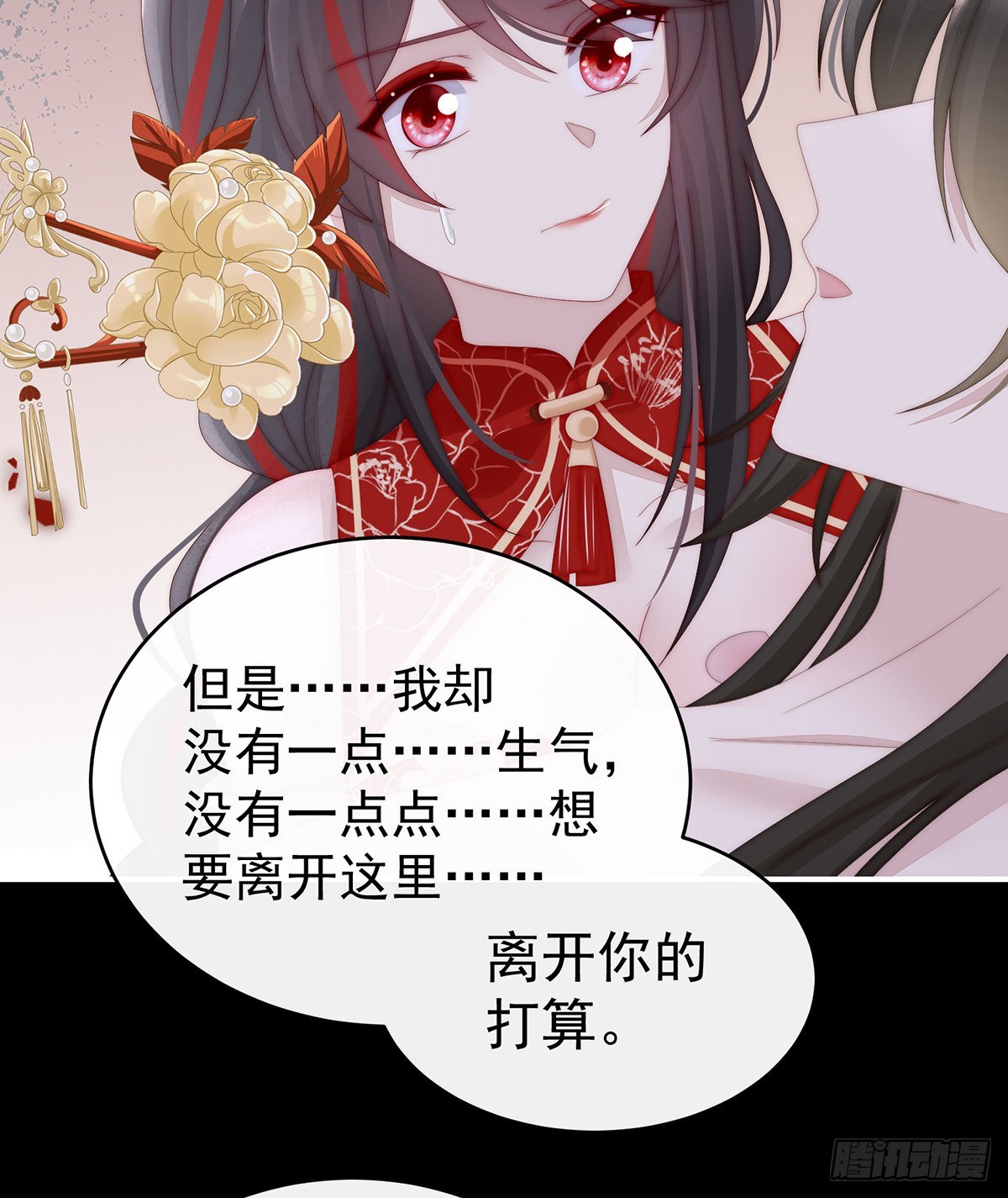 我为我的心16