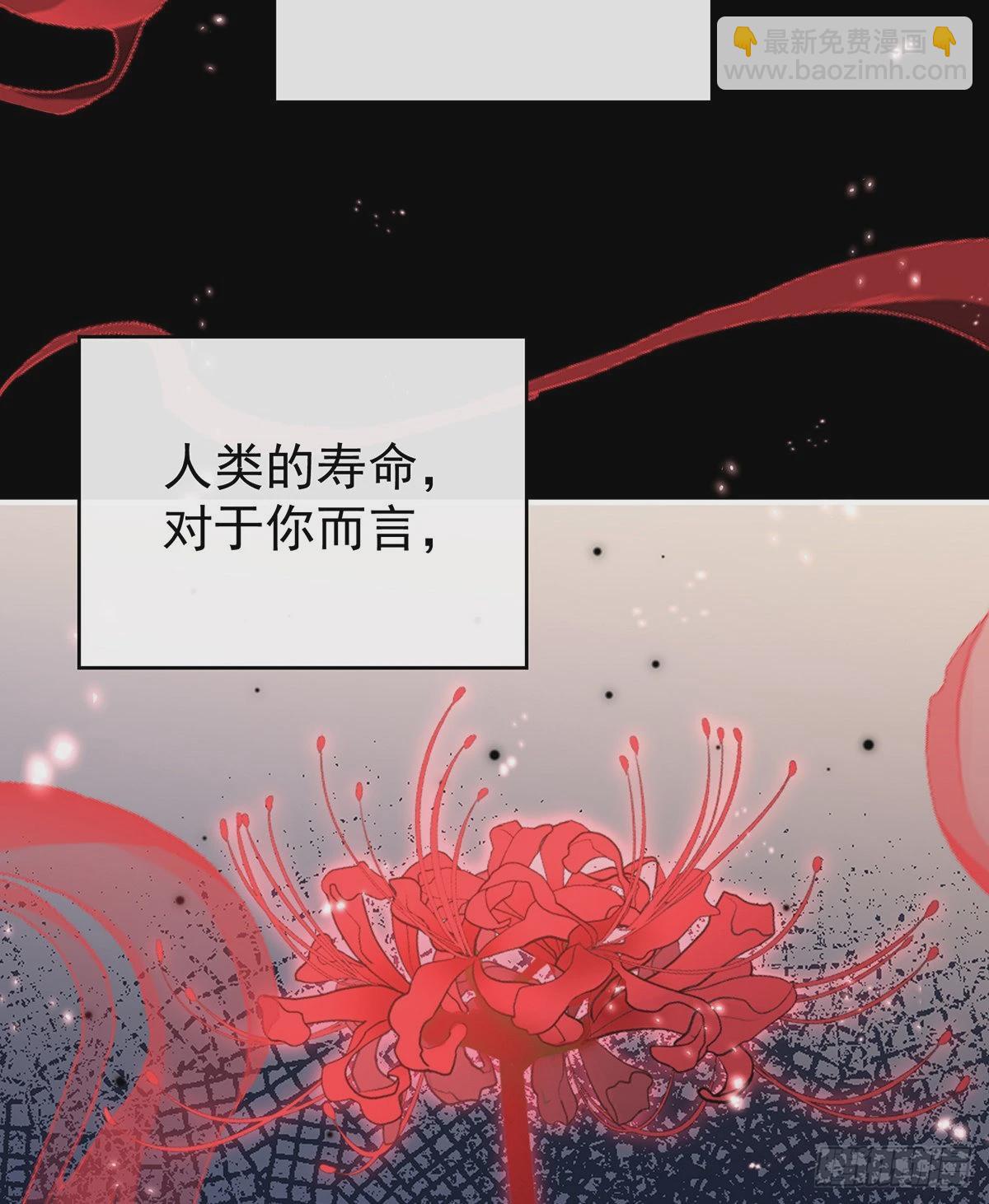 我为我的心38