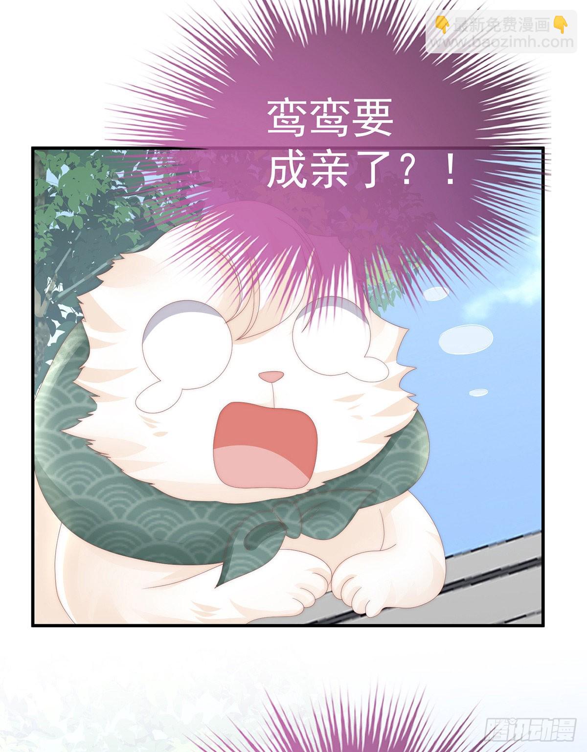 叫我妻主吧58