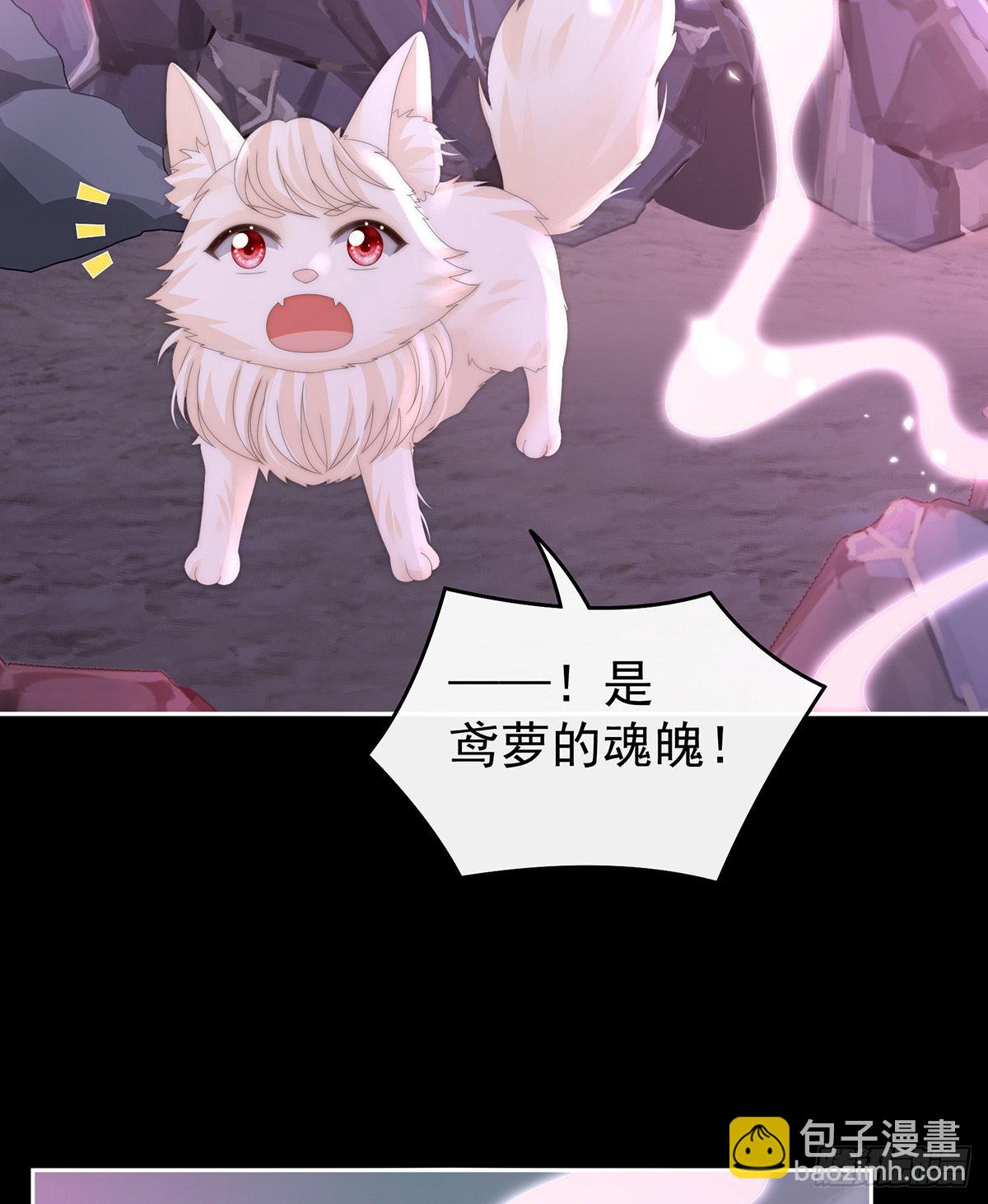疗毒的特殊方法56
