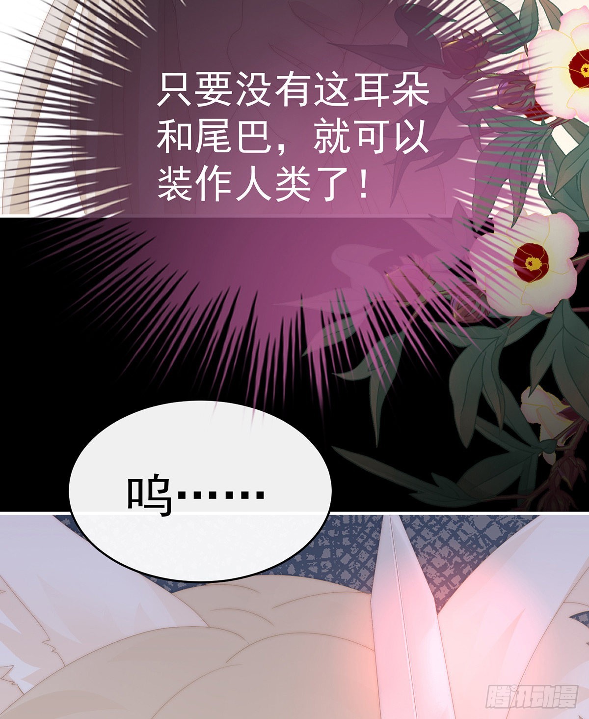 我愿意等她醒来33