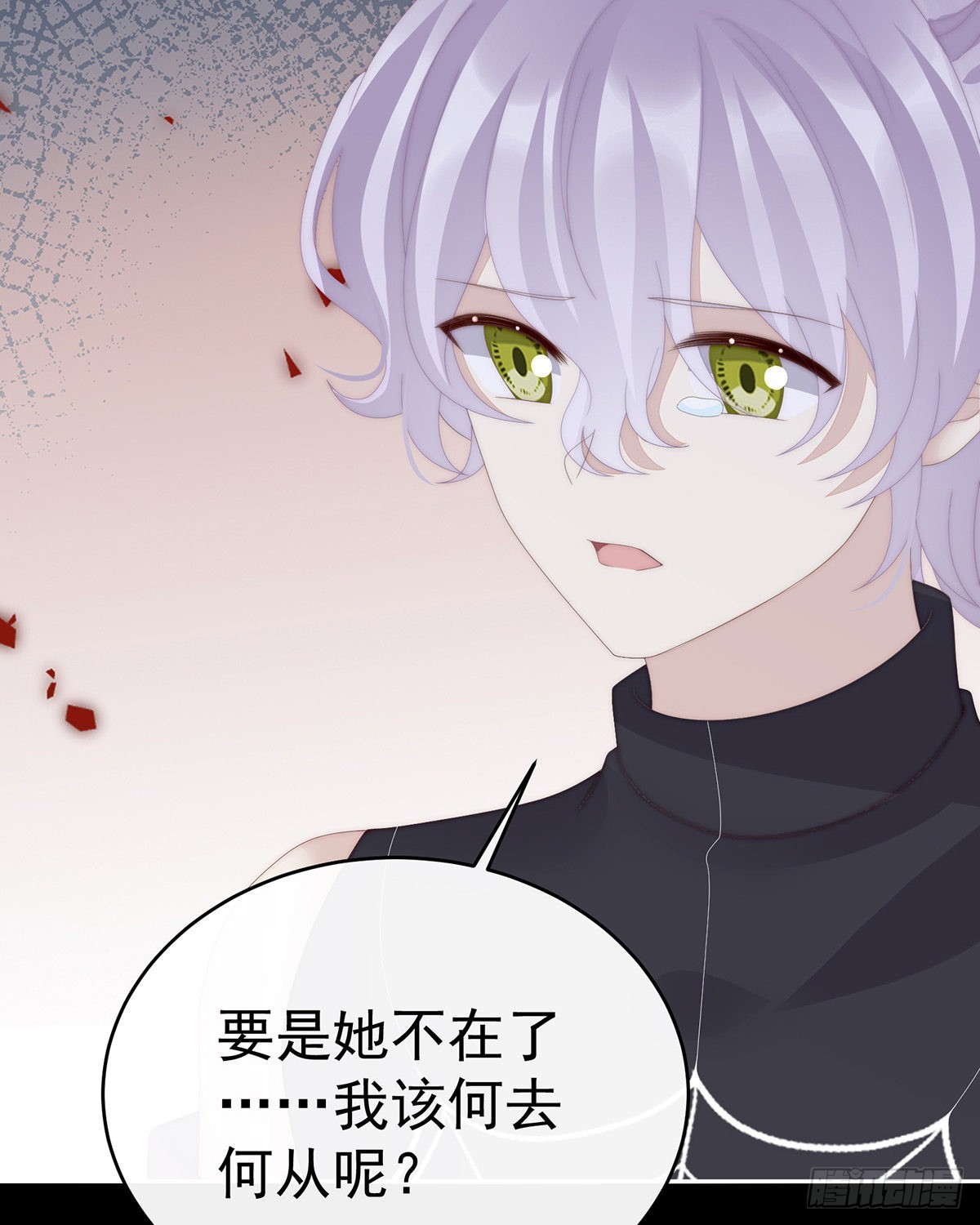 求抱抱12