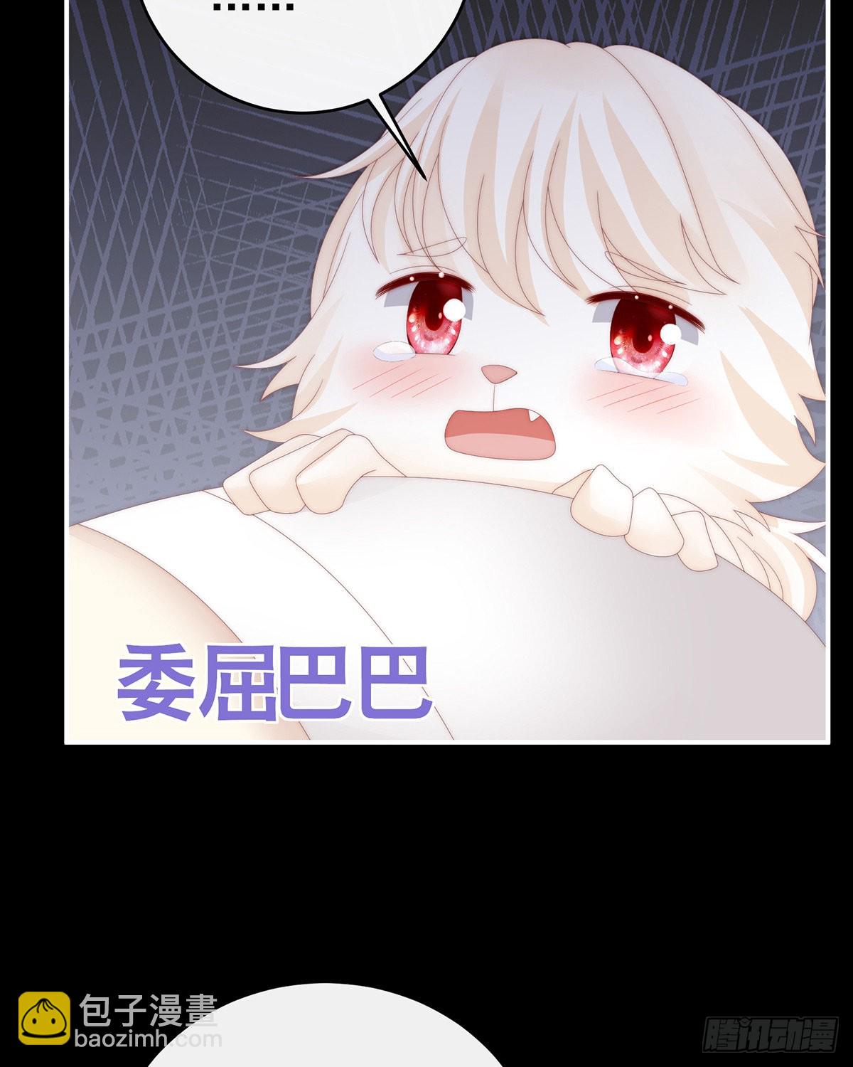 小动物也争宠？19