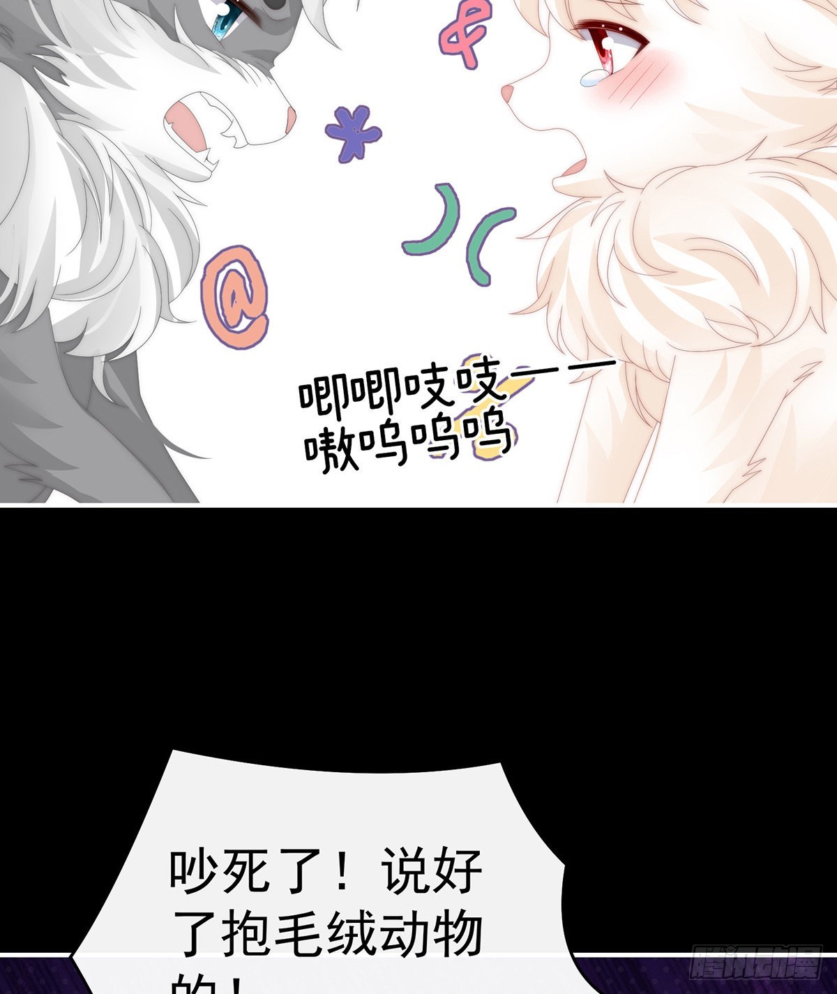 小动物也争宠？24