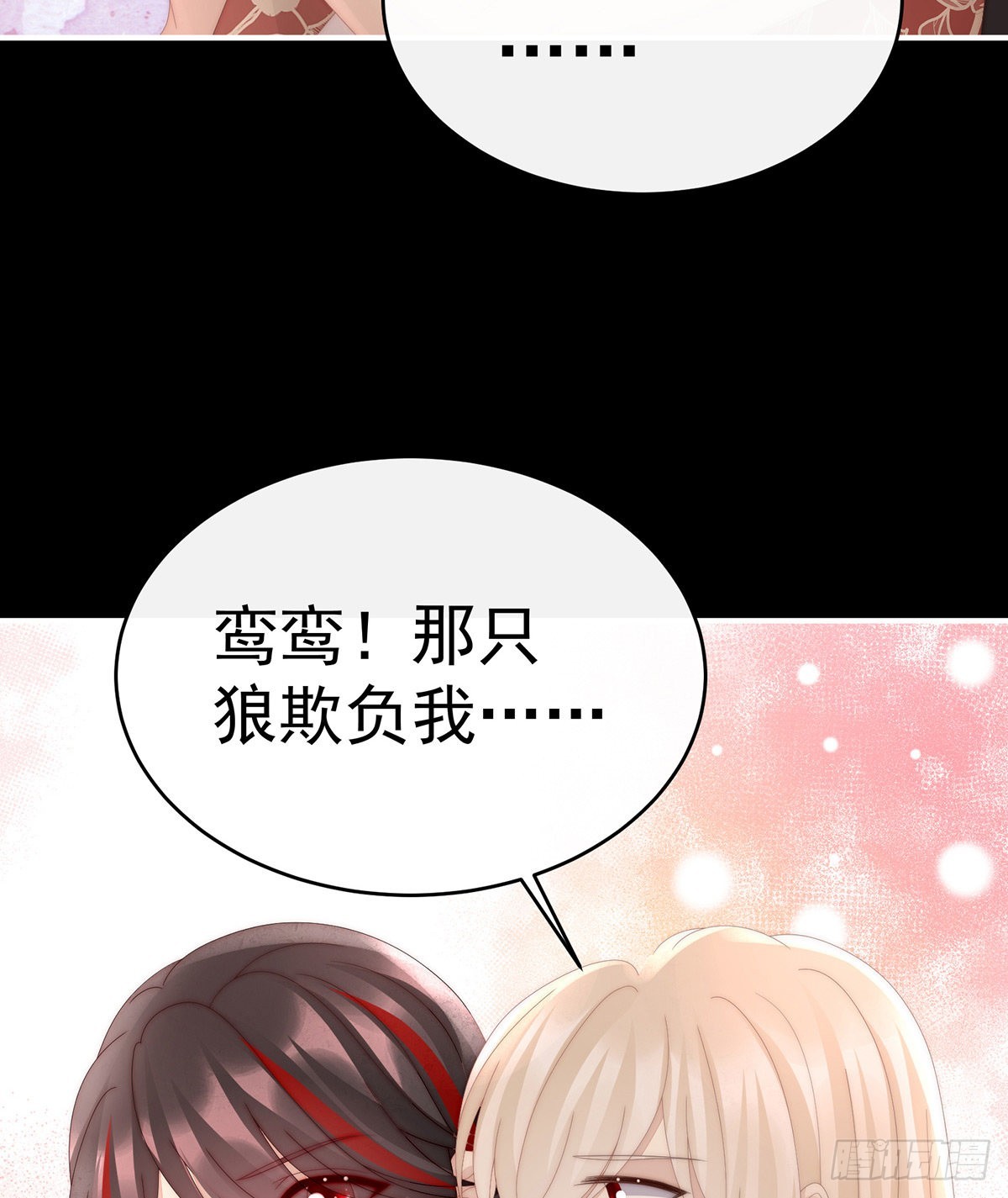 小动物也争宠？28