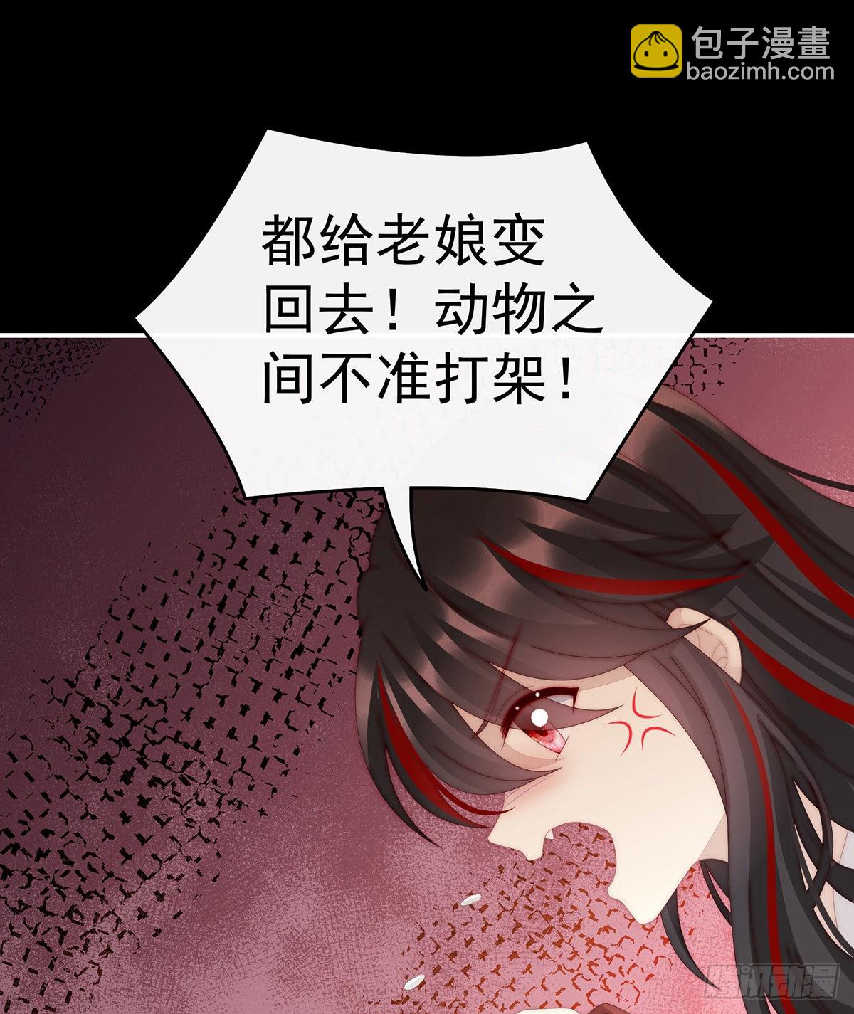 小动物也争宠？30