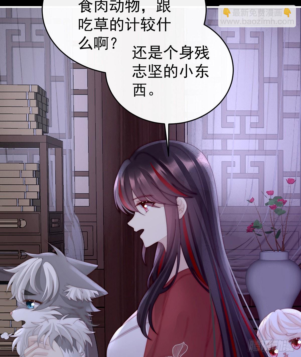 小动物也争宠？32
