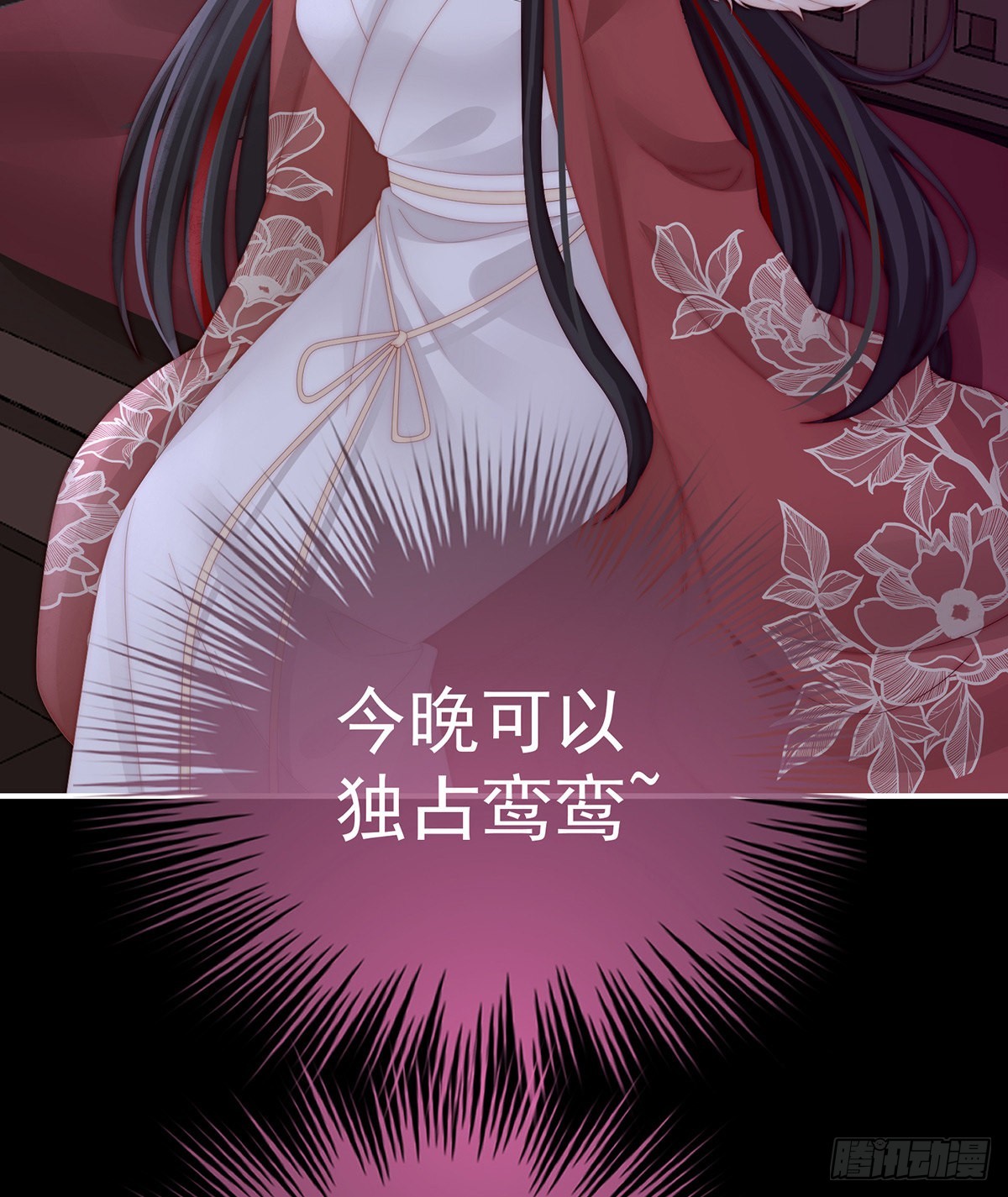 小动物也争宠？36