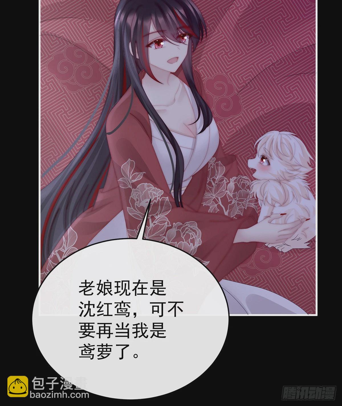 小动物也争宠？39