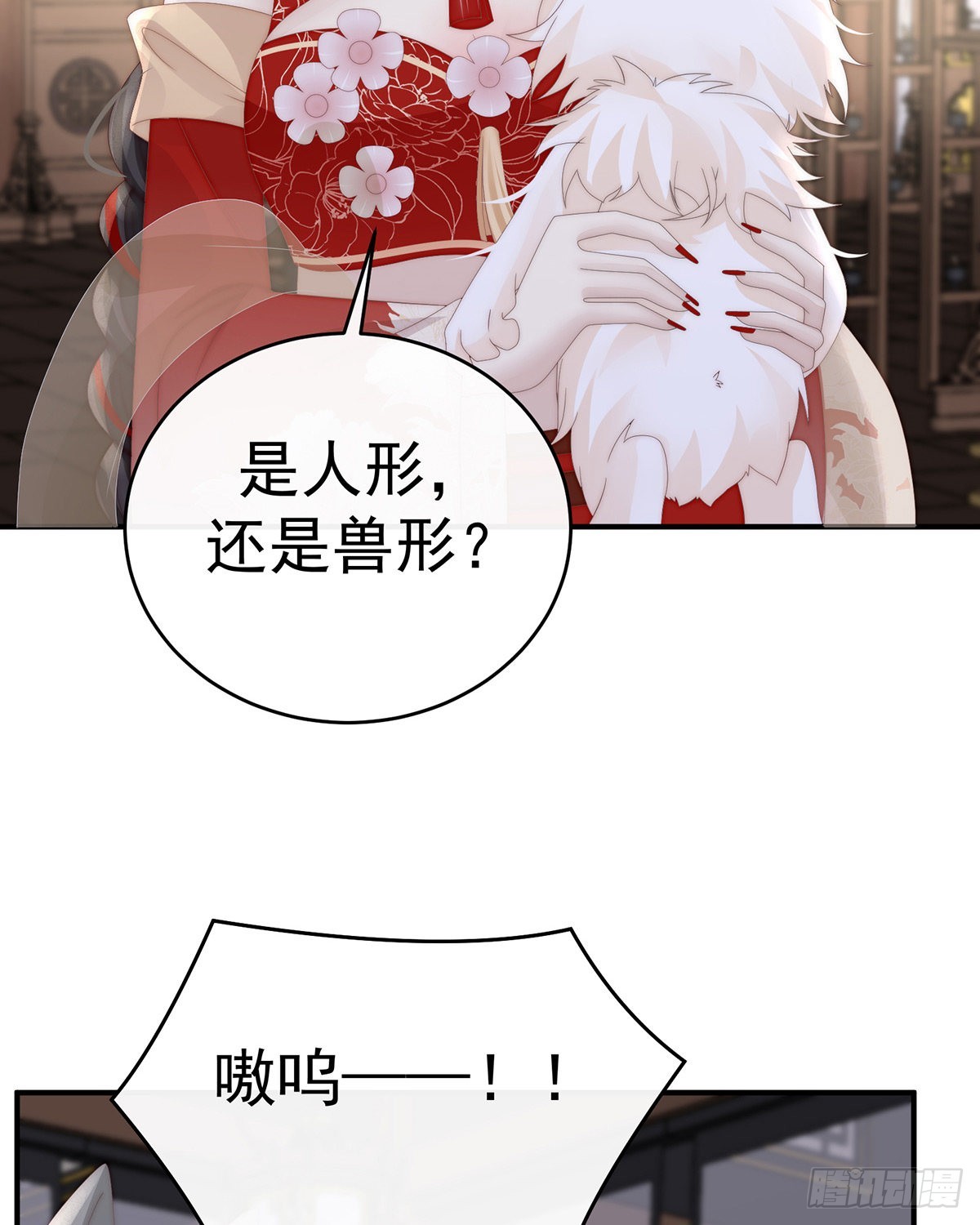 小动物也争宠？4