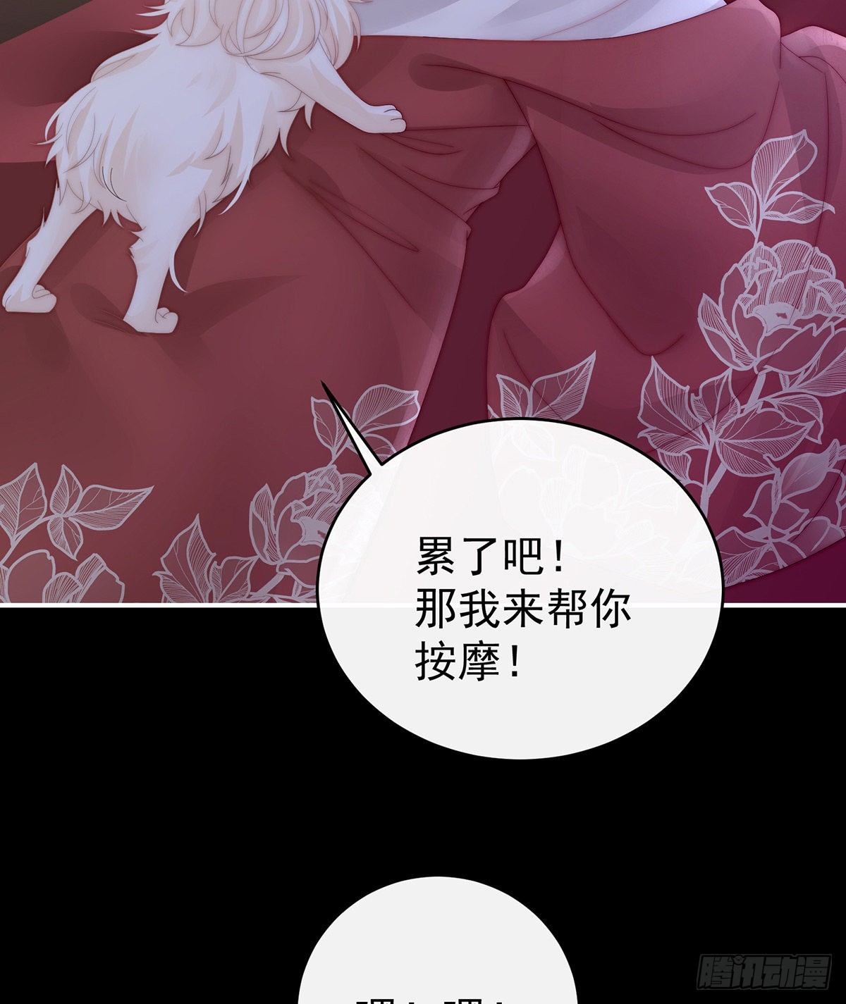 小动物也争宠？41