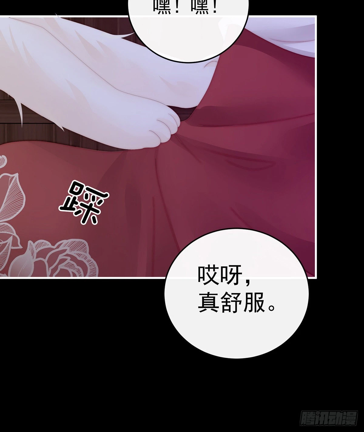 小动物也争宠？42