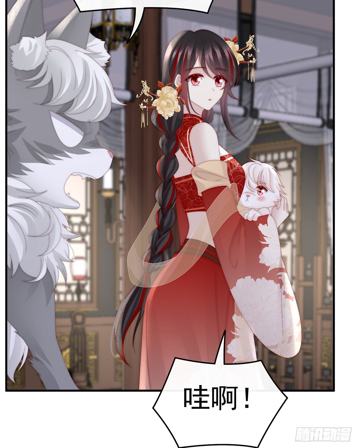 小动物也争宠？5