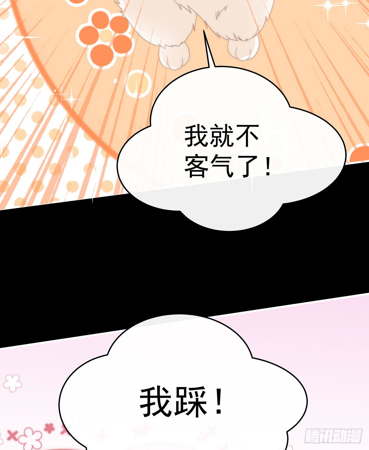 小动物也争宠？55
