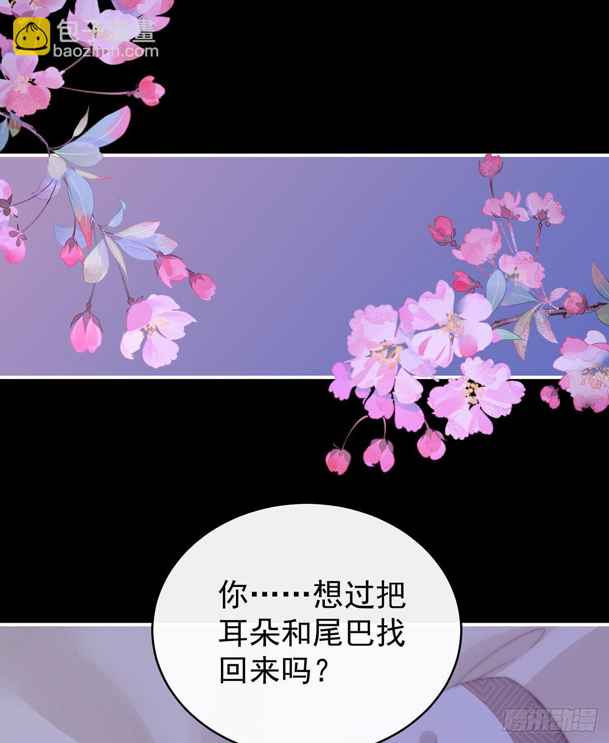 小动物也争宠？59