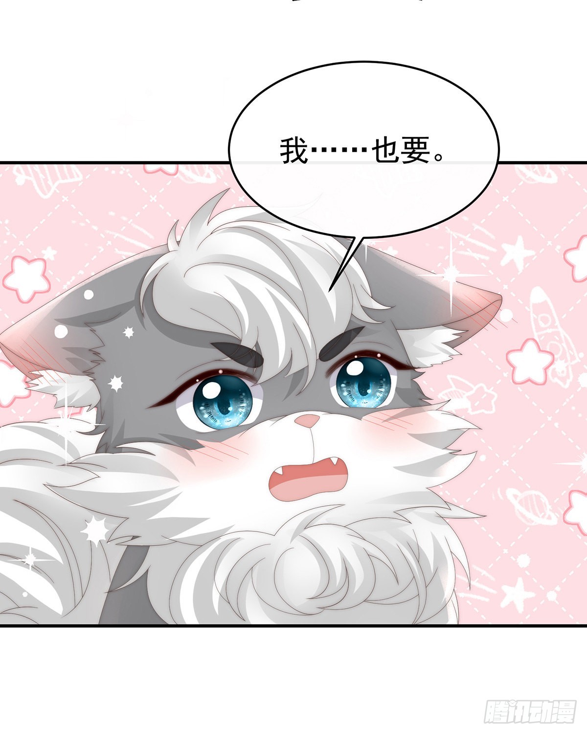 小动物也争宠？6