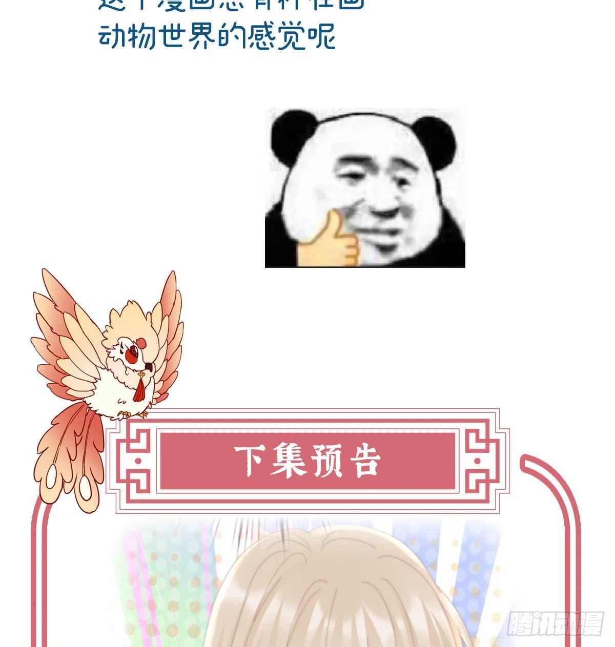 小动物也争宠？68