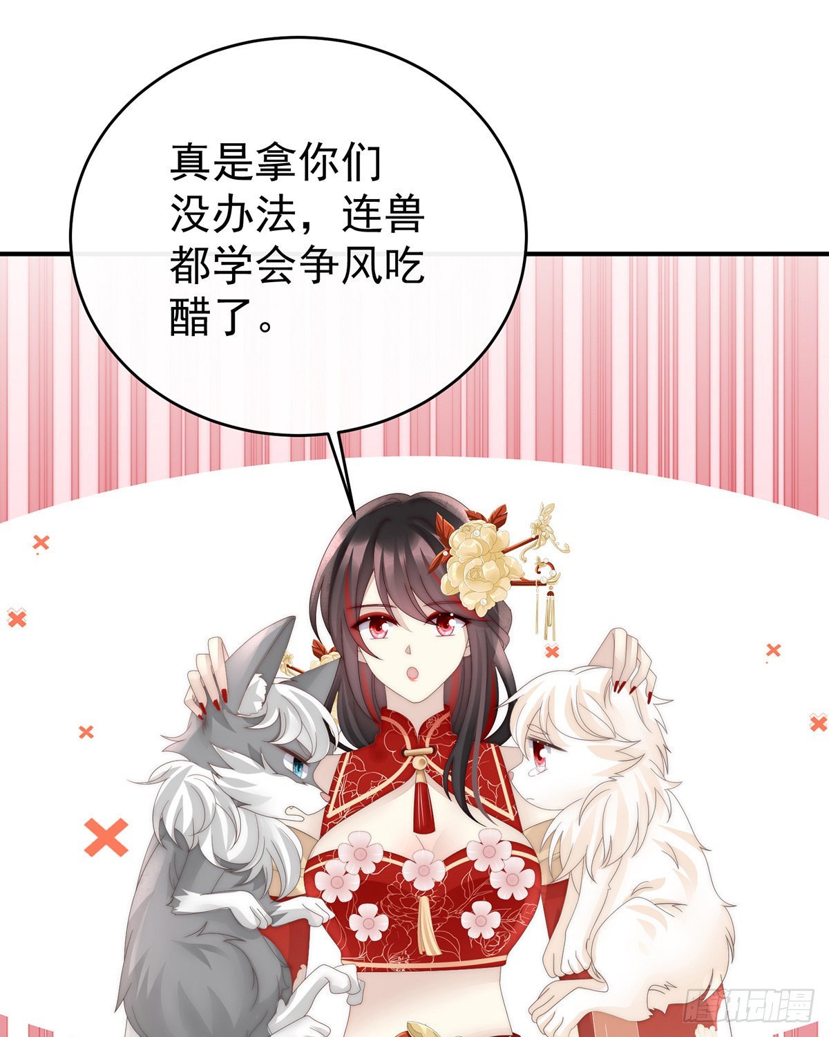 小动物也争宠？7