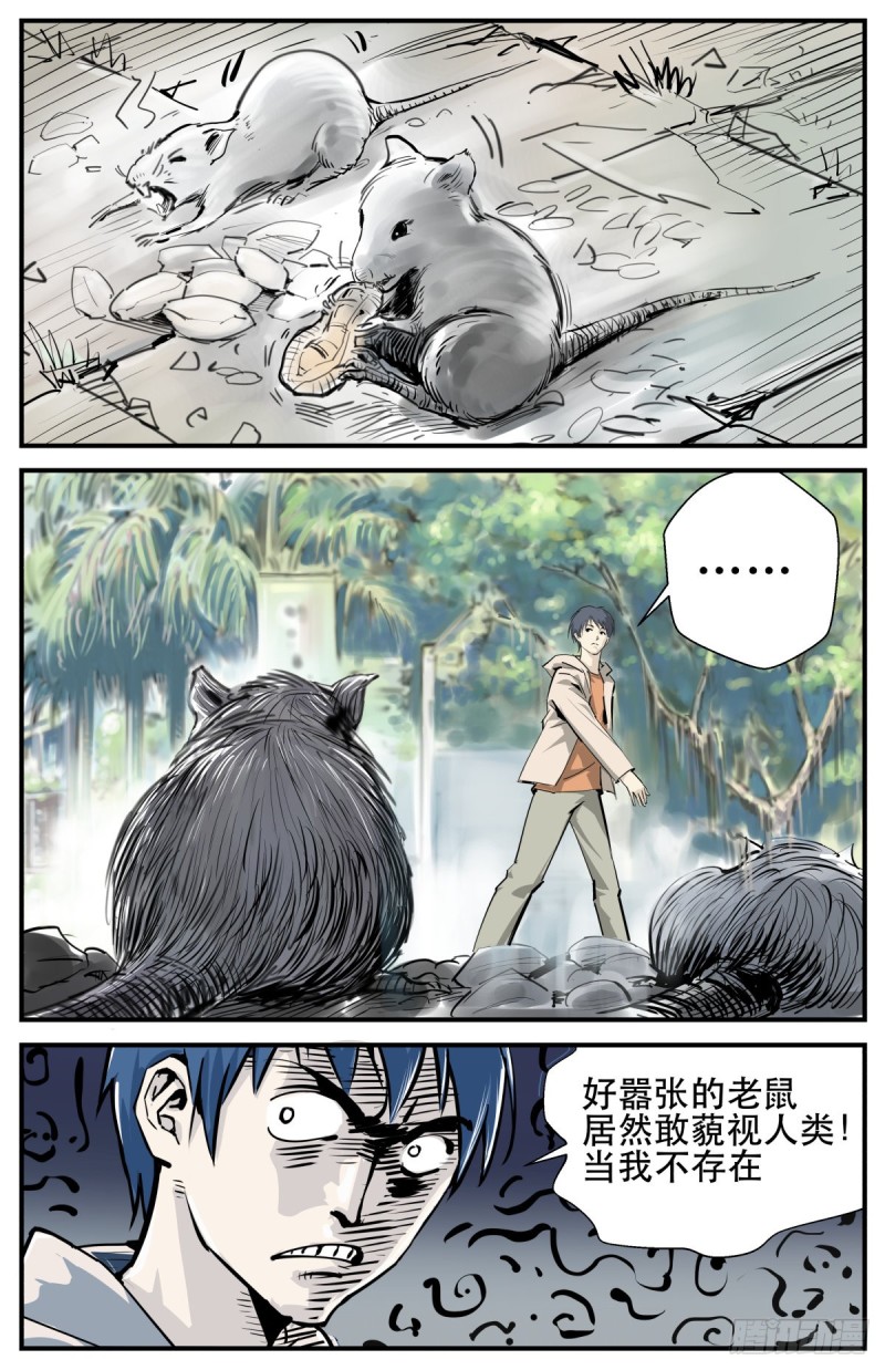 外沙岛的怪物11