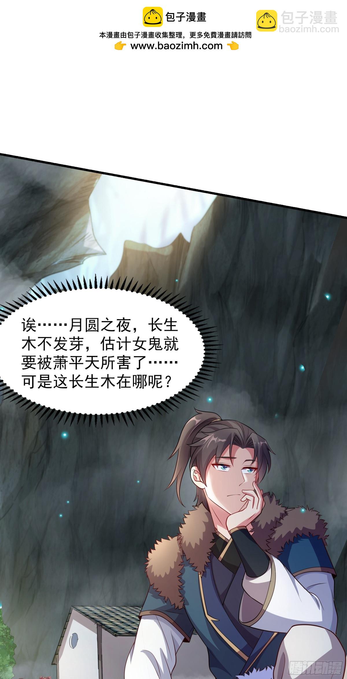 48 长生木1