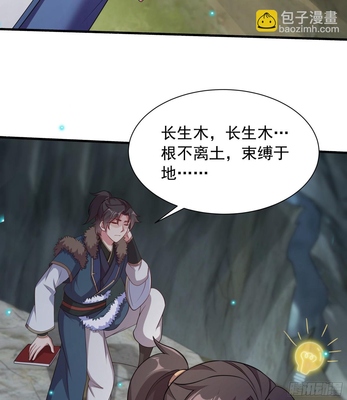 48 长生木7
