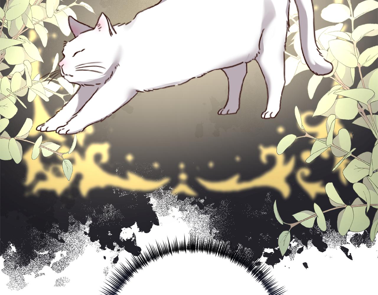 第54话 公爵的试探148