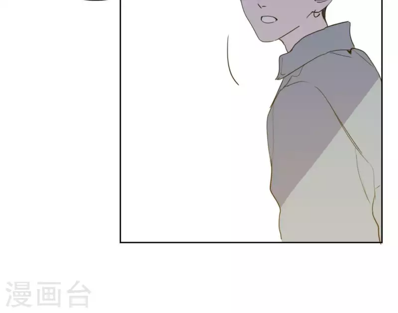 第51话 回归专辑100