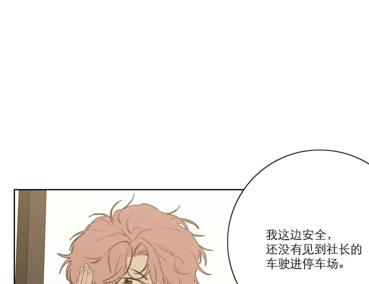 第79话 我的努力被验证0