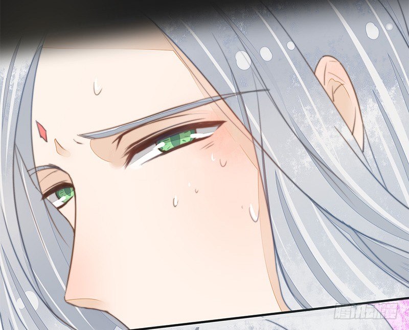 妖神大人的小宠物27