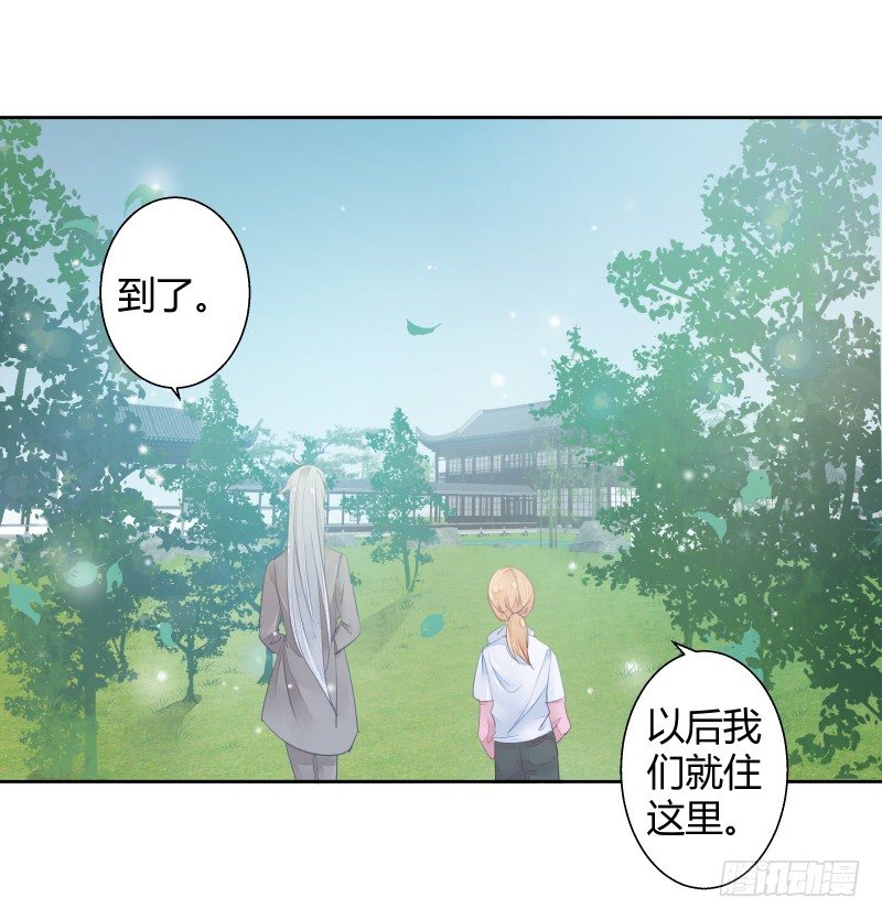 月下美人1