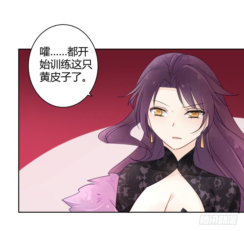月下美人43