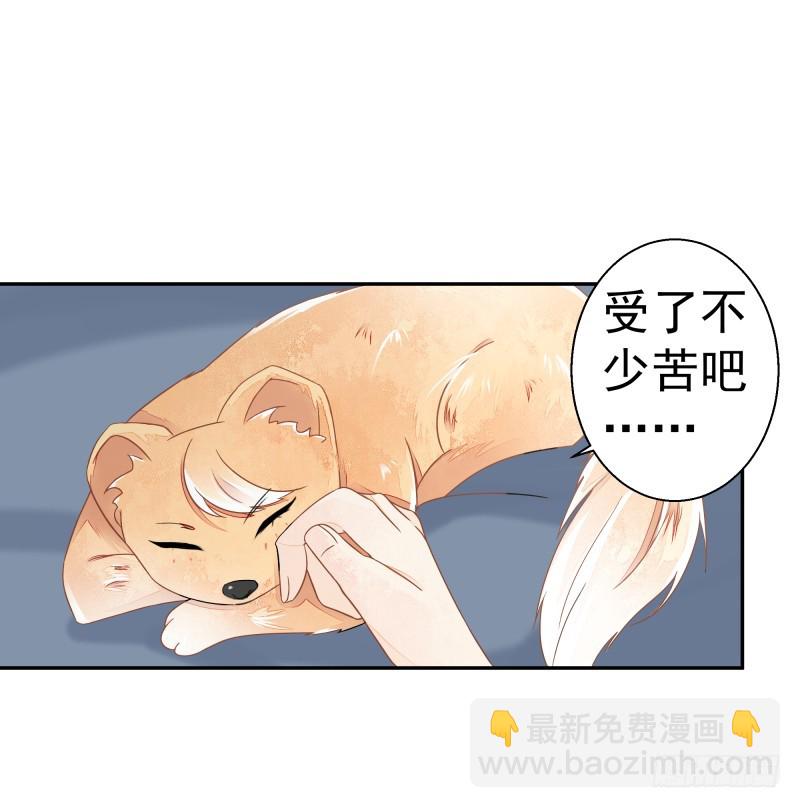 建国的身世41