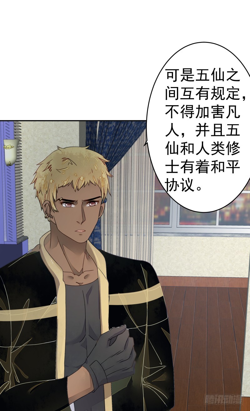 和评议会27